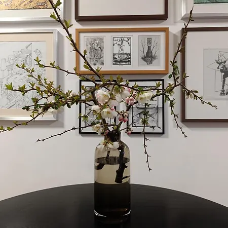 Cosy Design In The Centre 아파트 니트라